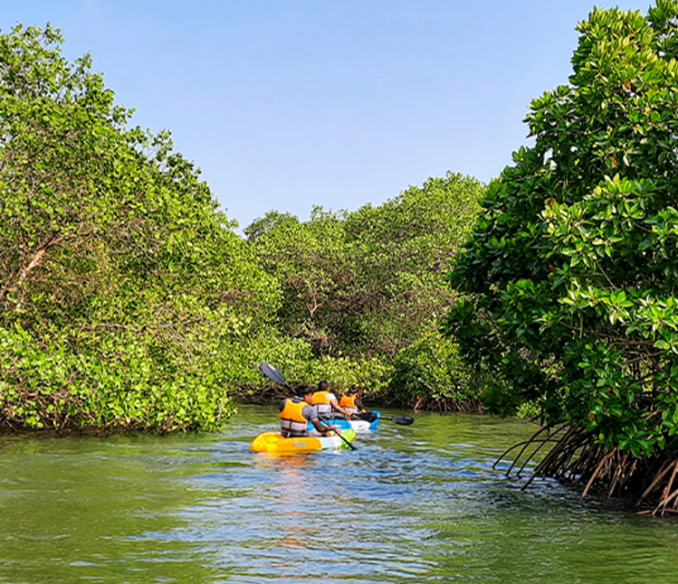 Konkan Explorer